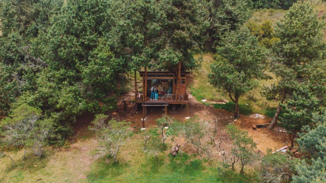 Alma De Campo Glamping - Laguna De Suesca Εξωτερικό φωτογραφία